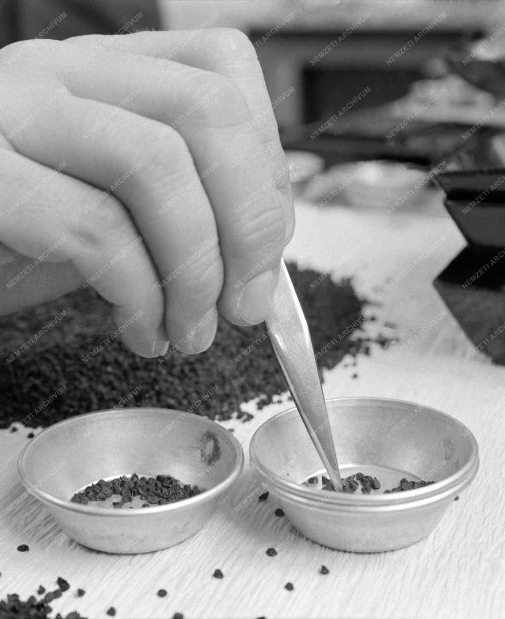 Mezőgazdaság - Tavaszra készül a Pest megyei Állami Vetőmag Felügyelőség