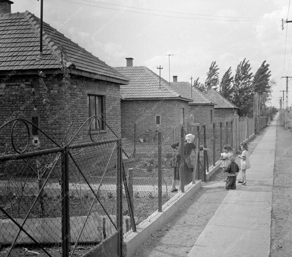 Szabadegyháza - Városkép 