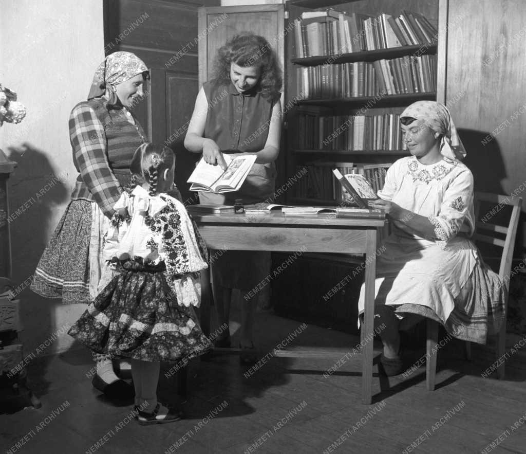 Művészet - Új könyvtár Nagykozárban