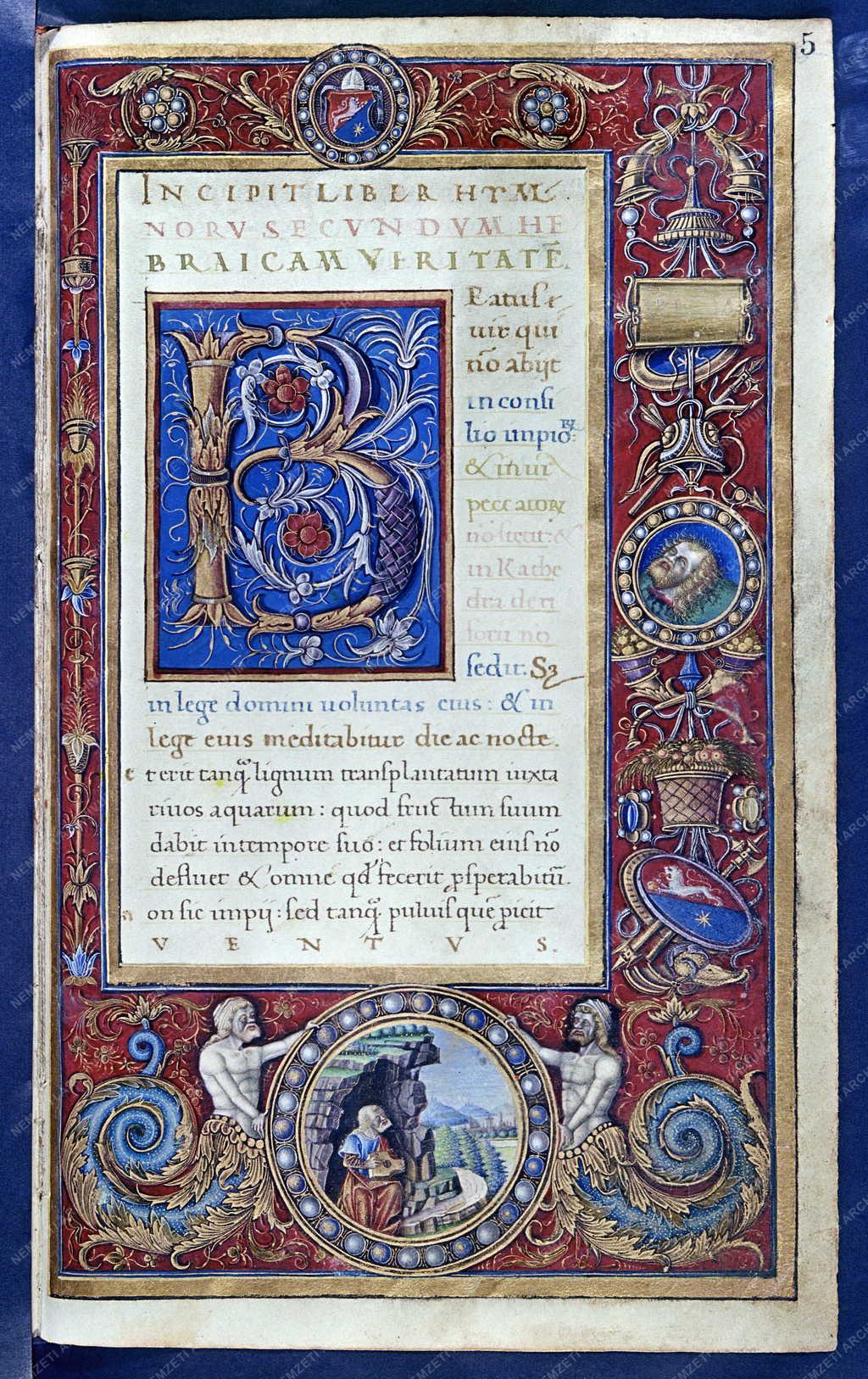 Kultúra - Mátyás Corvina