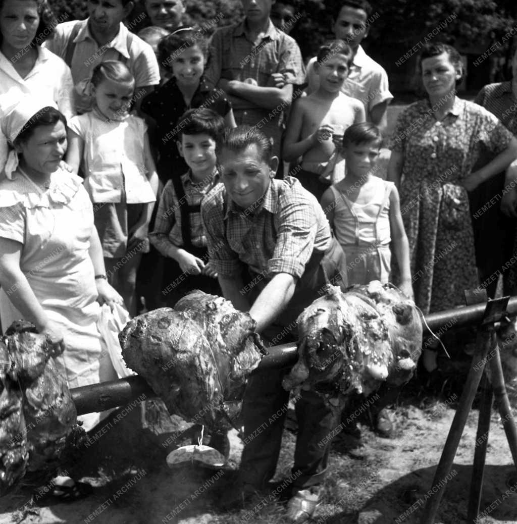 Majális - az ÉDOSZ jubileumi rendezvénye