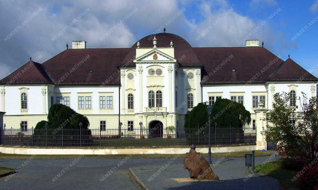 Városkép - Szécsény - Forgách-kastély