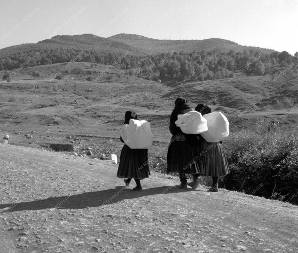 Életkép - Falu élete