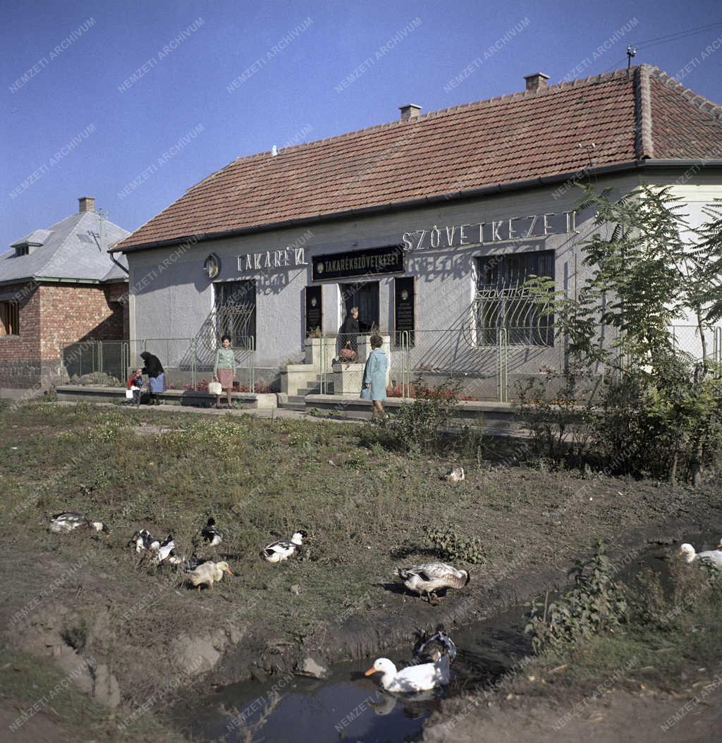 Pénzügy - Takarékszövetkezet