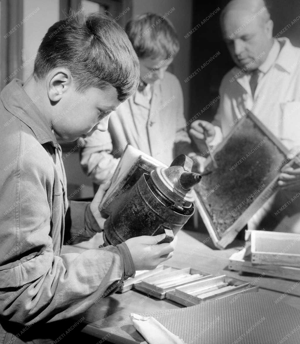 Szabadidő - Méhész szakkör dunaszentpáli általános iskolában