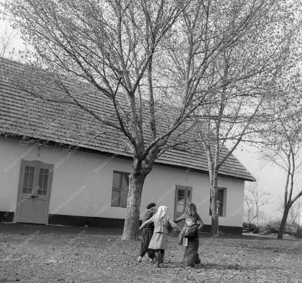 Szociálpolitika - A Városföldi Állami Gazdaság új kultúrterme
