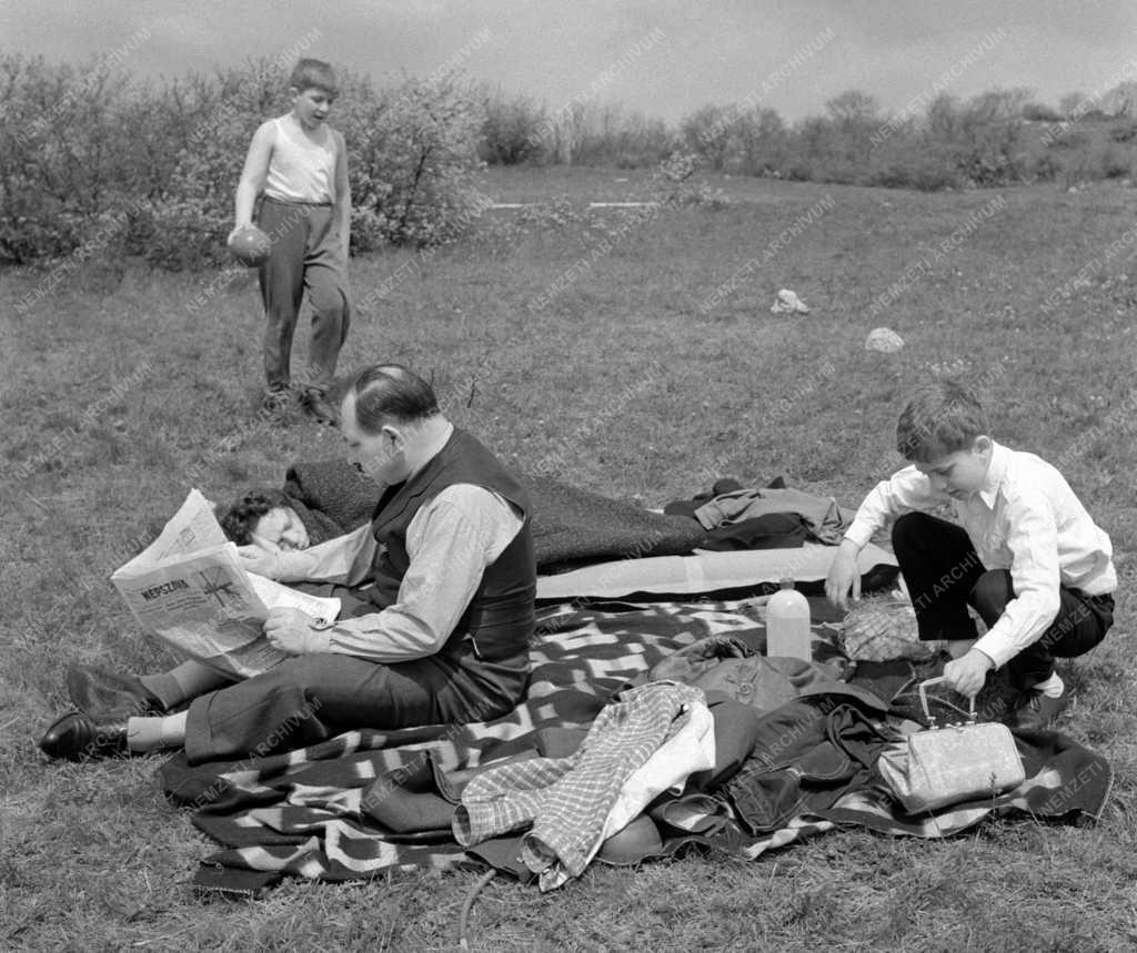 Szabadidő - Életkép - Piknikező család