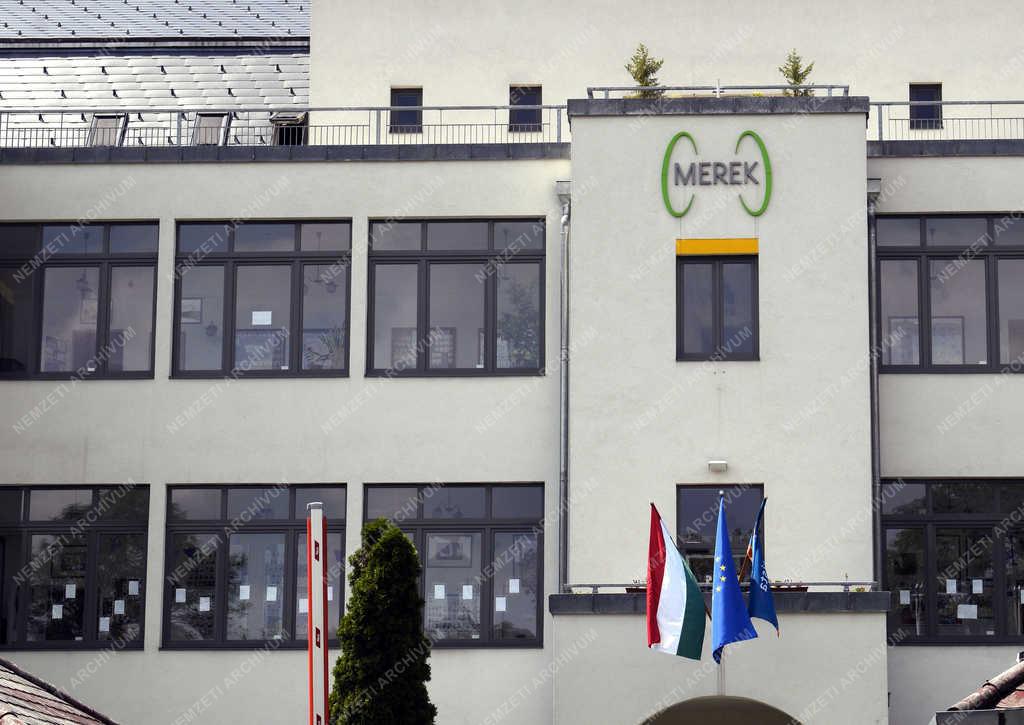Épületfotó - Budapest - MEREK 