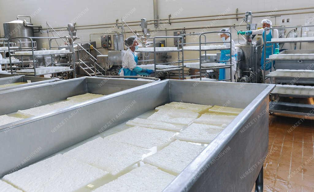 Élelmiszeripar - Hajdúböszörmény - Sajtgyártás