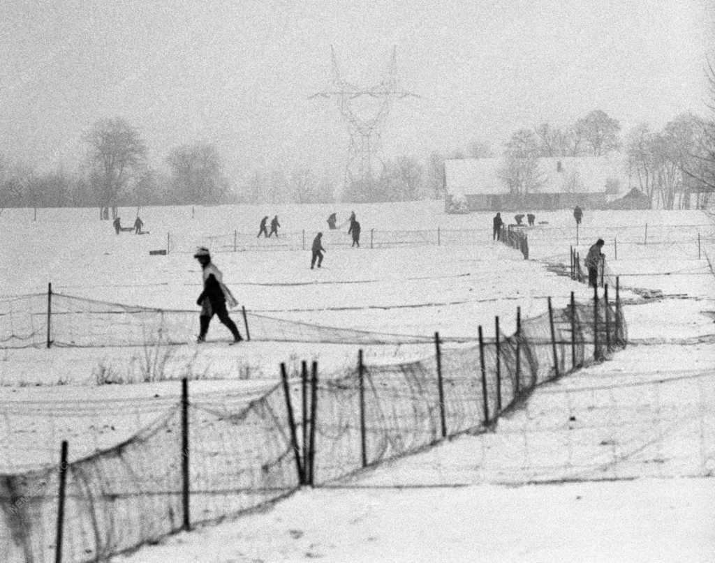 Vadászat - Nyulak befogása Szolnokon