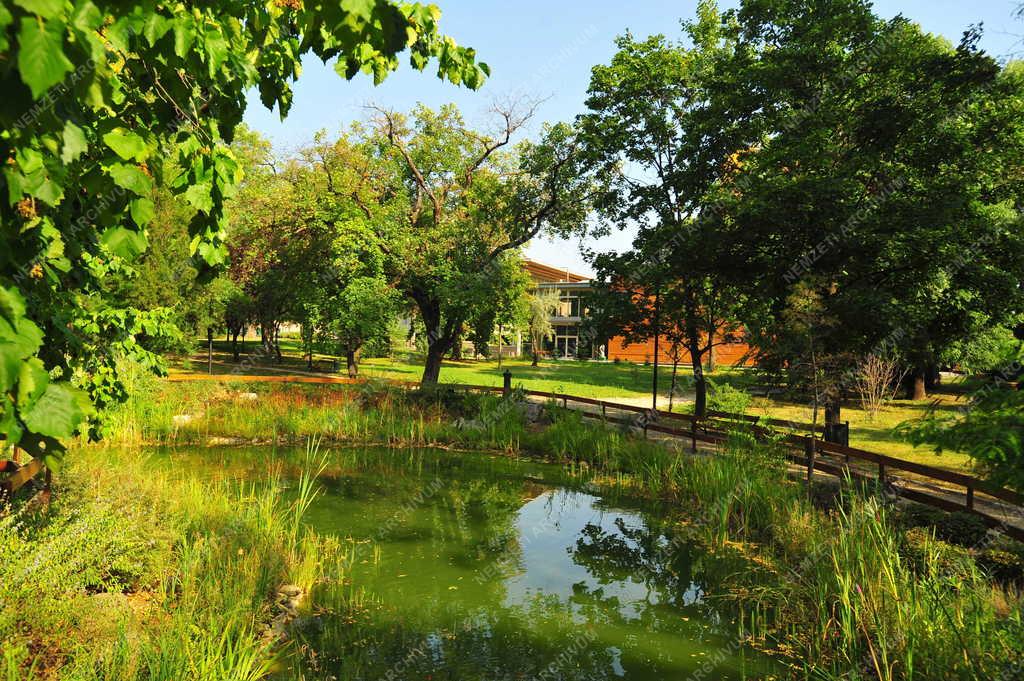 Gyöngyös - Kastélykert