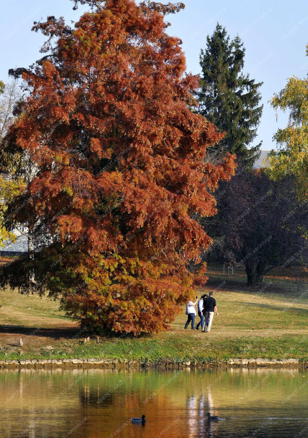 Szabadidő - Martonvásár - Kirándulók az őszi arborétumban