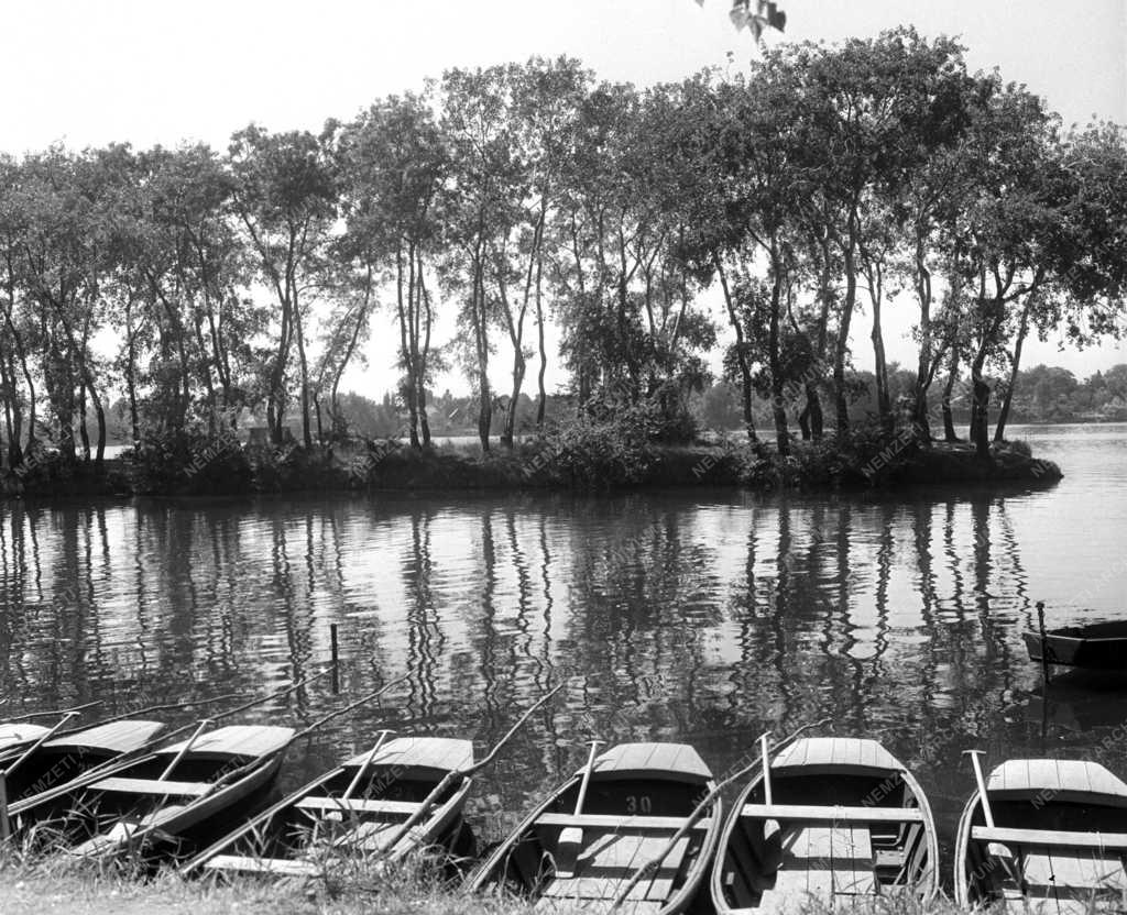 Szabadidő - Első Országos Halfogási Bajnokság Ráckevénél