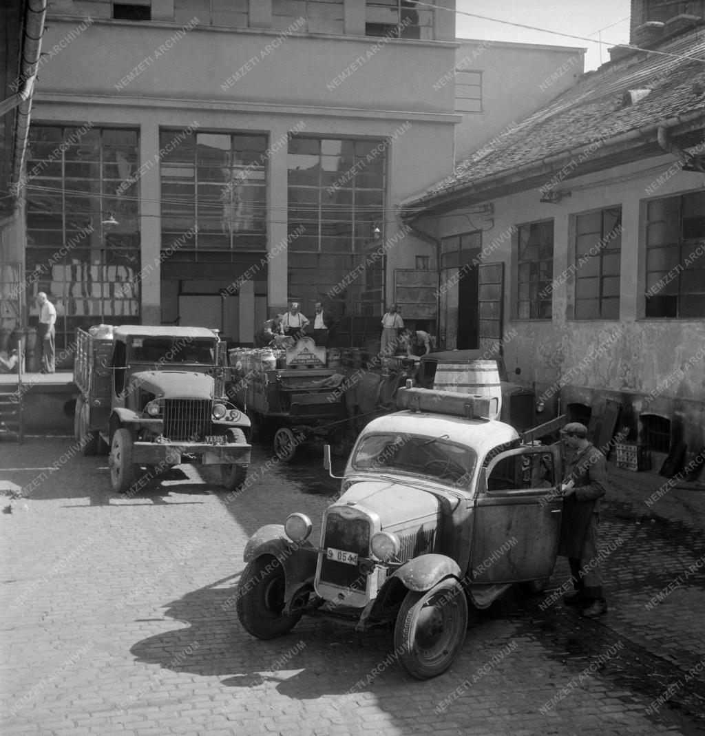 Élelmiszeripar - Magyar Tej- és Tejtermék Forgalmi Rt.