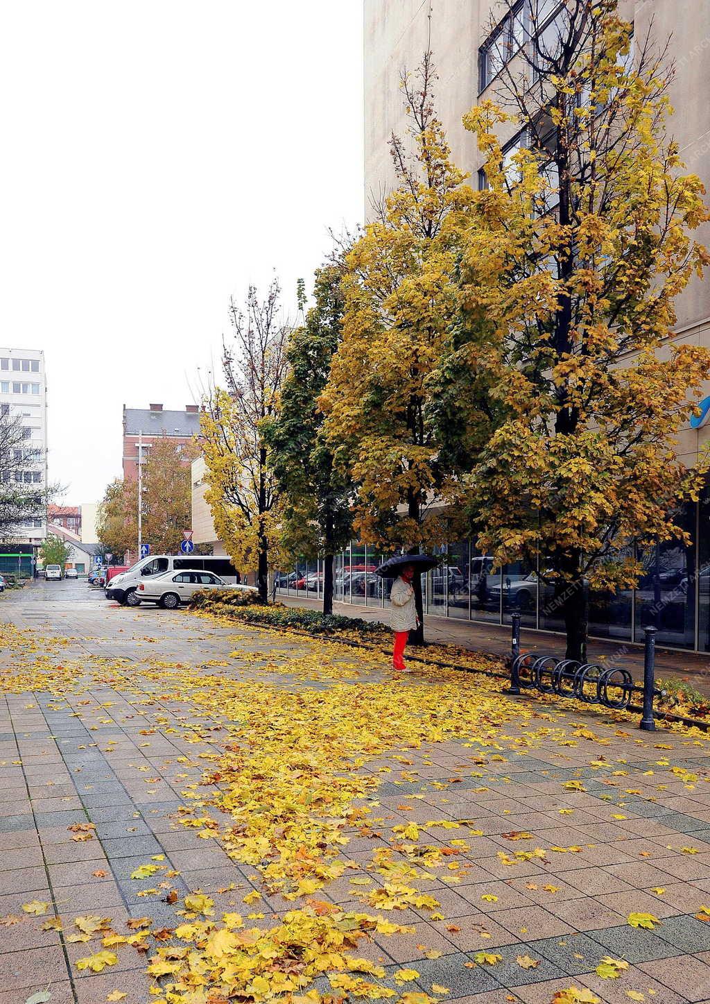 Időjárás - Debrecen - Esős ősz 