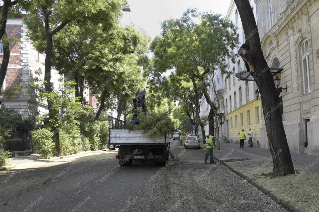 Városkép - Budapest - Fakivágás a Benczúr utcában