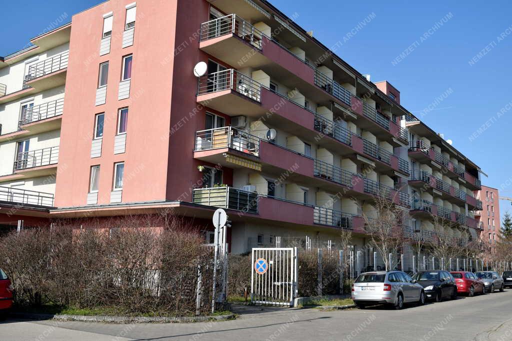 Szociális ellátás - Demográfia - Olajág Otthonok