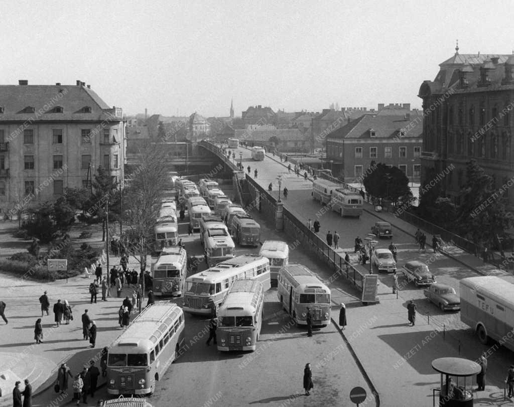 Helyi közlekedés - Bővült a MÁVAUT hálózat