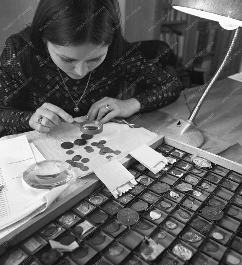 Kultúra - Viski Károly Múzeum - Numizmatikai gyűjtemény