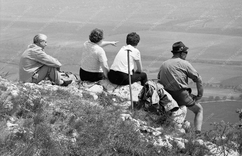 Természet-környezet - Természetbarátok a Pilisben