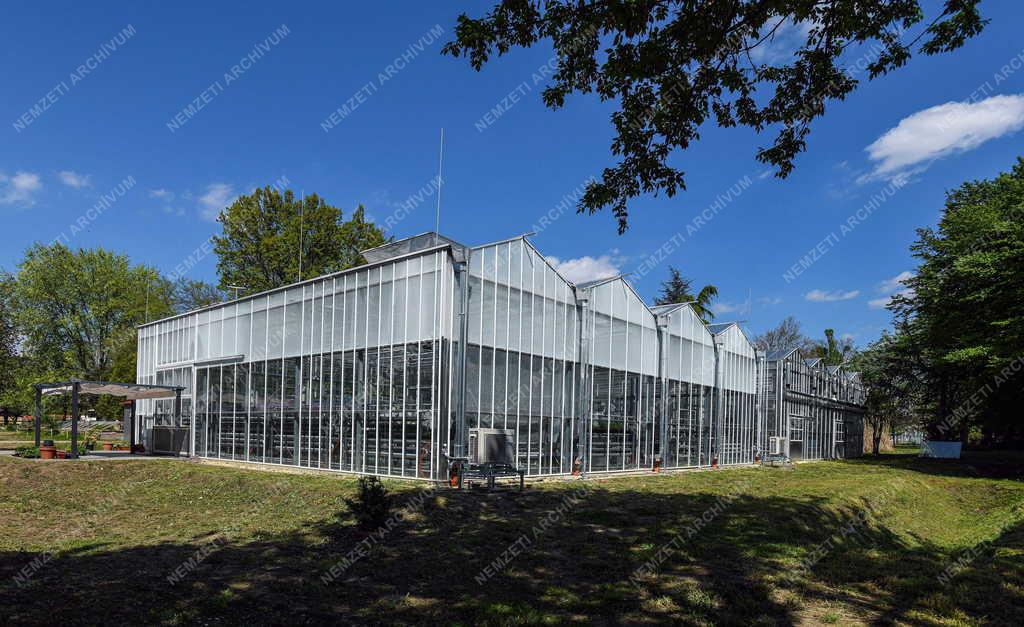 Tudomány - Debreceni Egyetem Biológiai Kutató és Növénykísérleti Üvegház