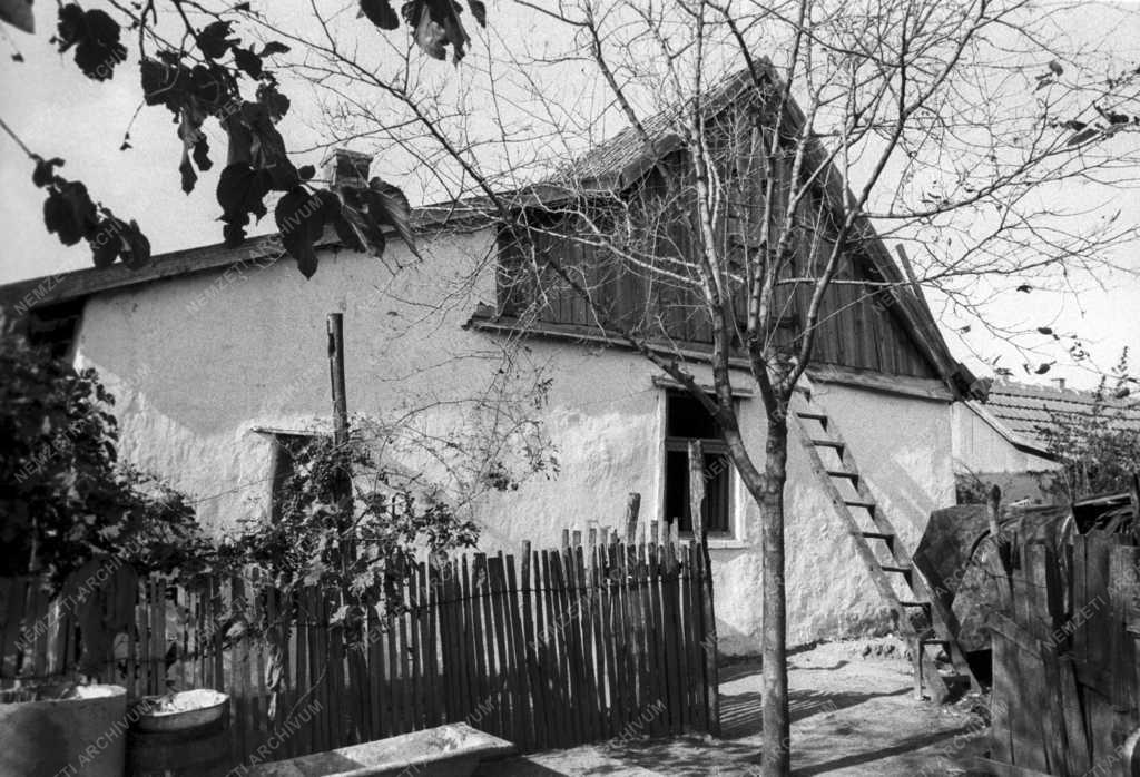 Kultúra - Film - Pipás Pista című film forgatási helyszínei