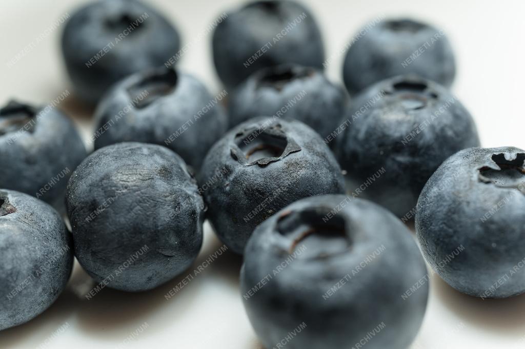 Természet - Áfonya