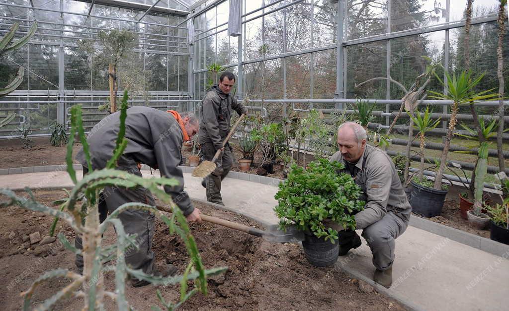 Épület - Debrecen - Új üvegház a botanikus kertben