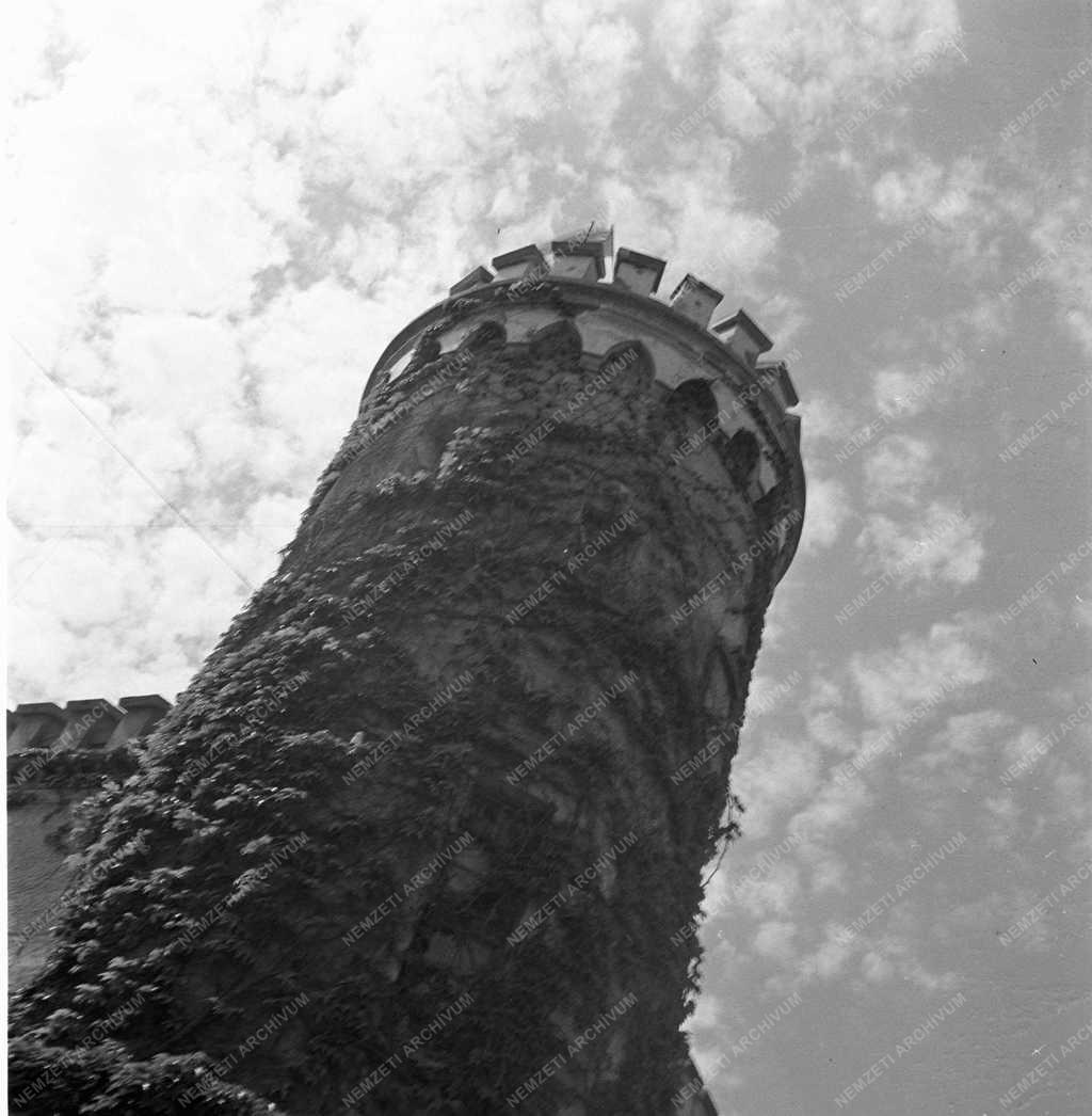 Mezőgazdaság - Ágasegyházi Állami Gazdaság