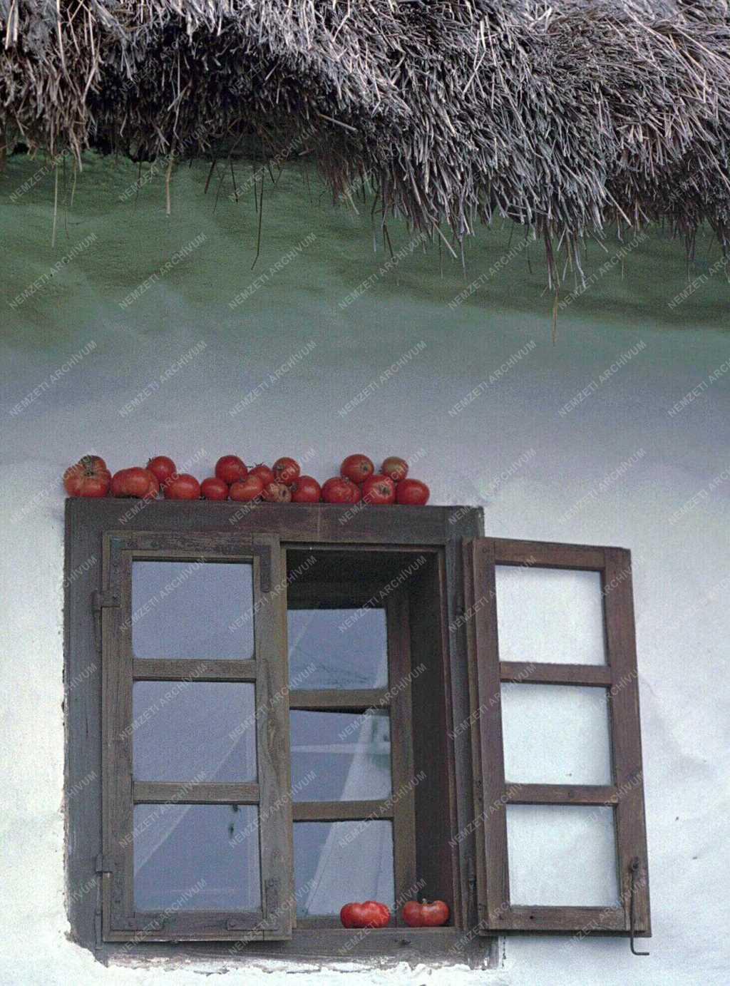 A szerző válogatása - Göcseji tárgyak, tájak, emberek