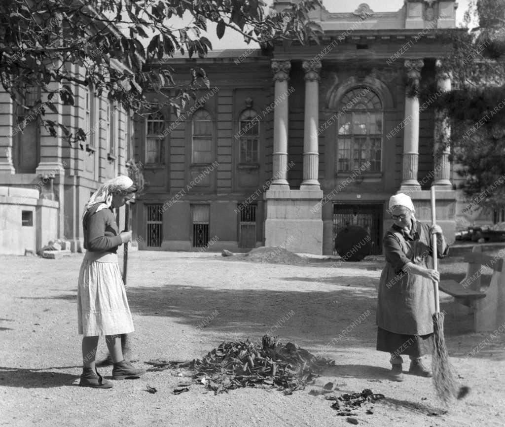 Időjárás - Vége a csillagászati nyárnak - Hulló falevelek
