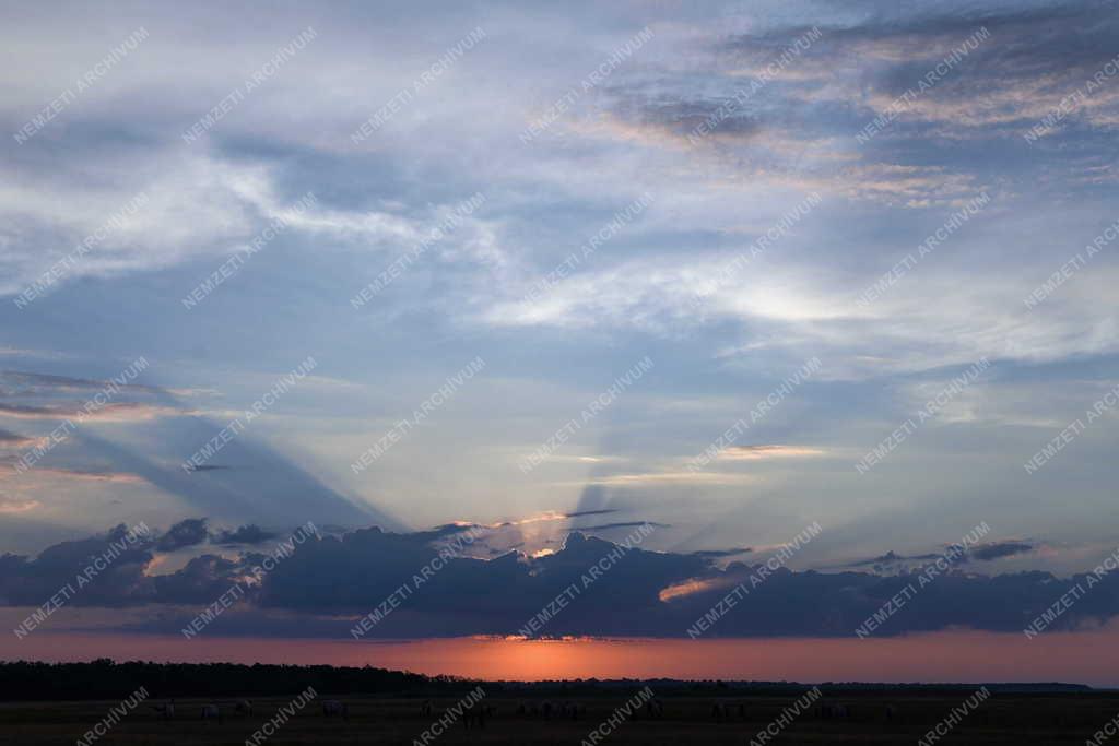 Tájkép - Természet - Napkelte Hortobágyon
