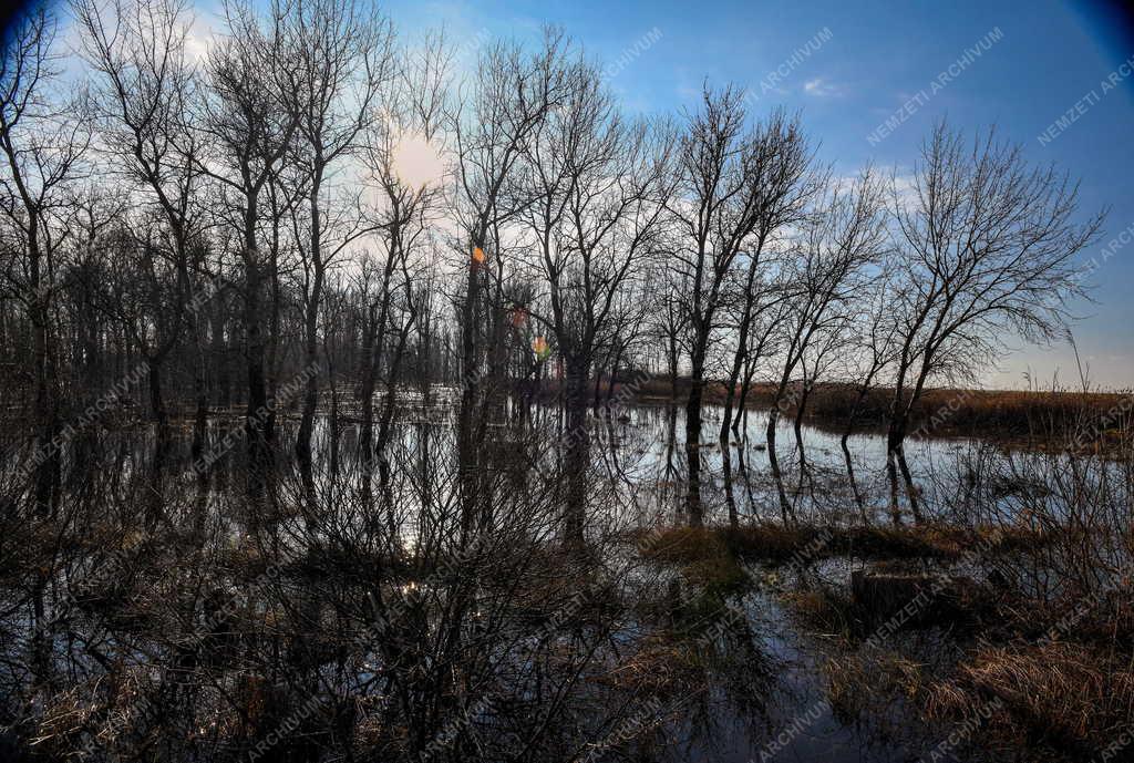 Természetvédelem - 50 éves a Hortobágyi Nemzeti Park