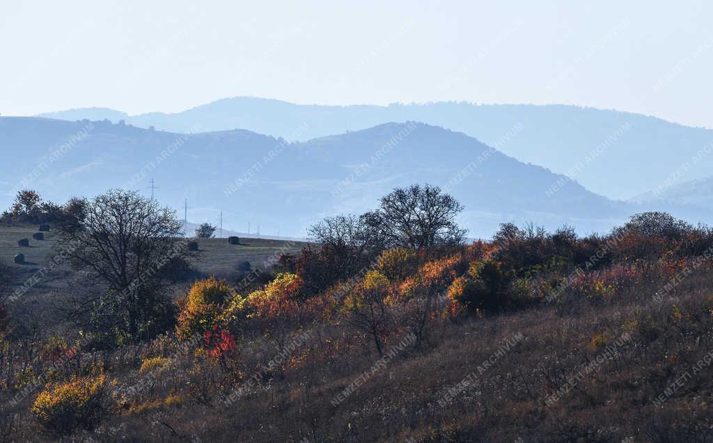 Természet - Zsobok - Ősz a határban