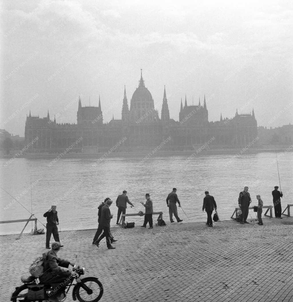 Táj, város - Ősz Budapesten