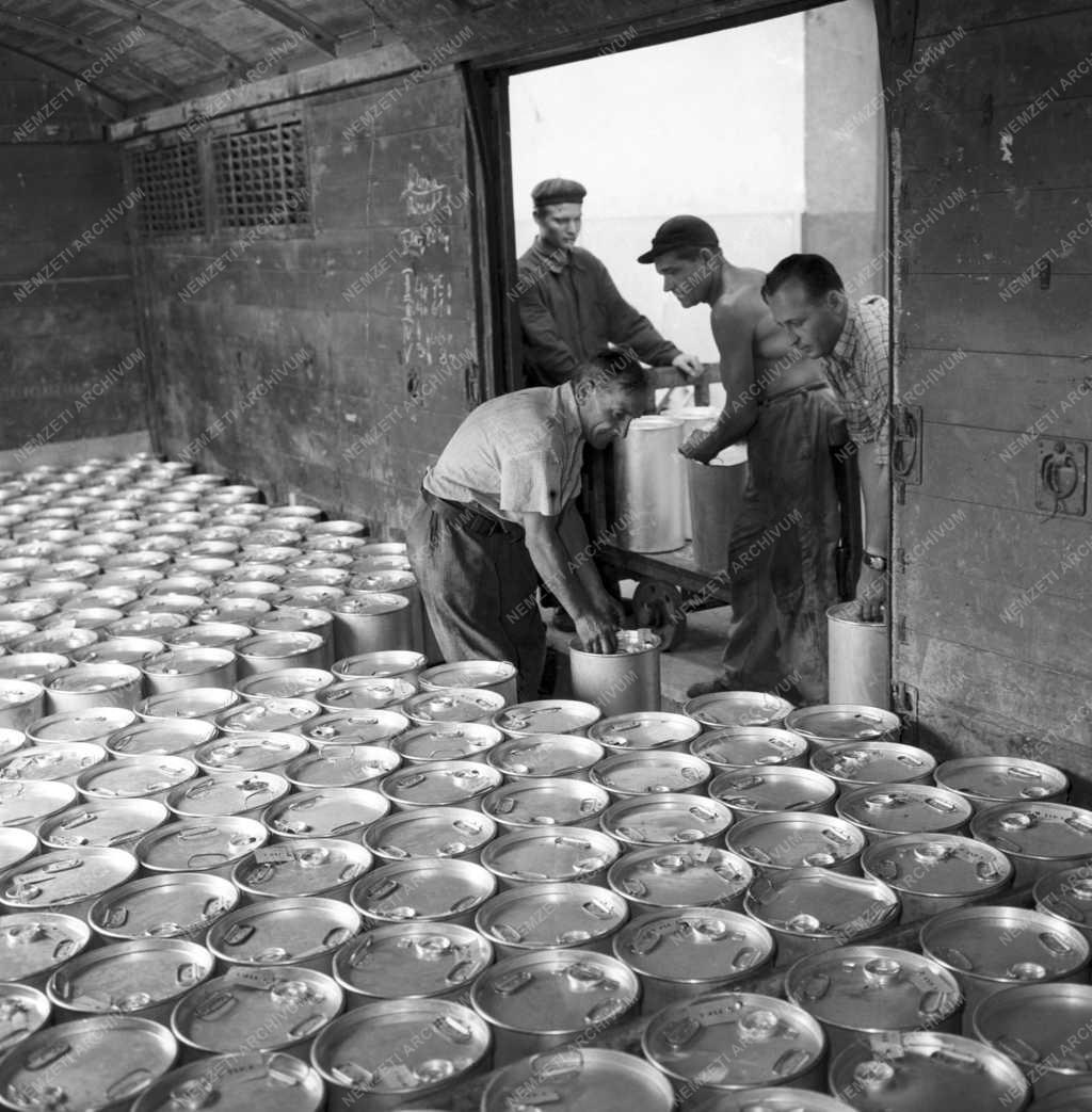 Külkereskedelem - Export méz