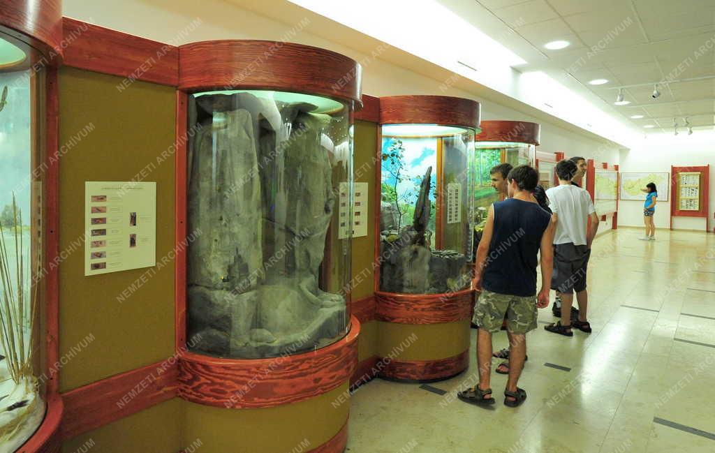 Táj, város - Gyöngyös - Múzeumbelső