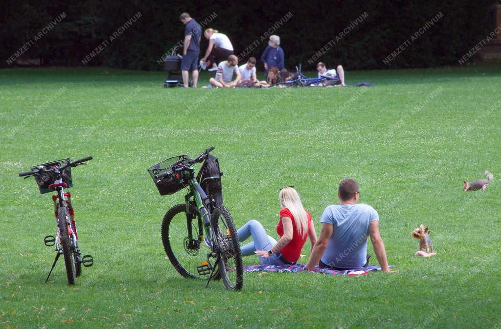 Szabadidő - Budapest - Pihenő fővárosiak a margitszigeti réten