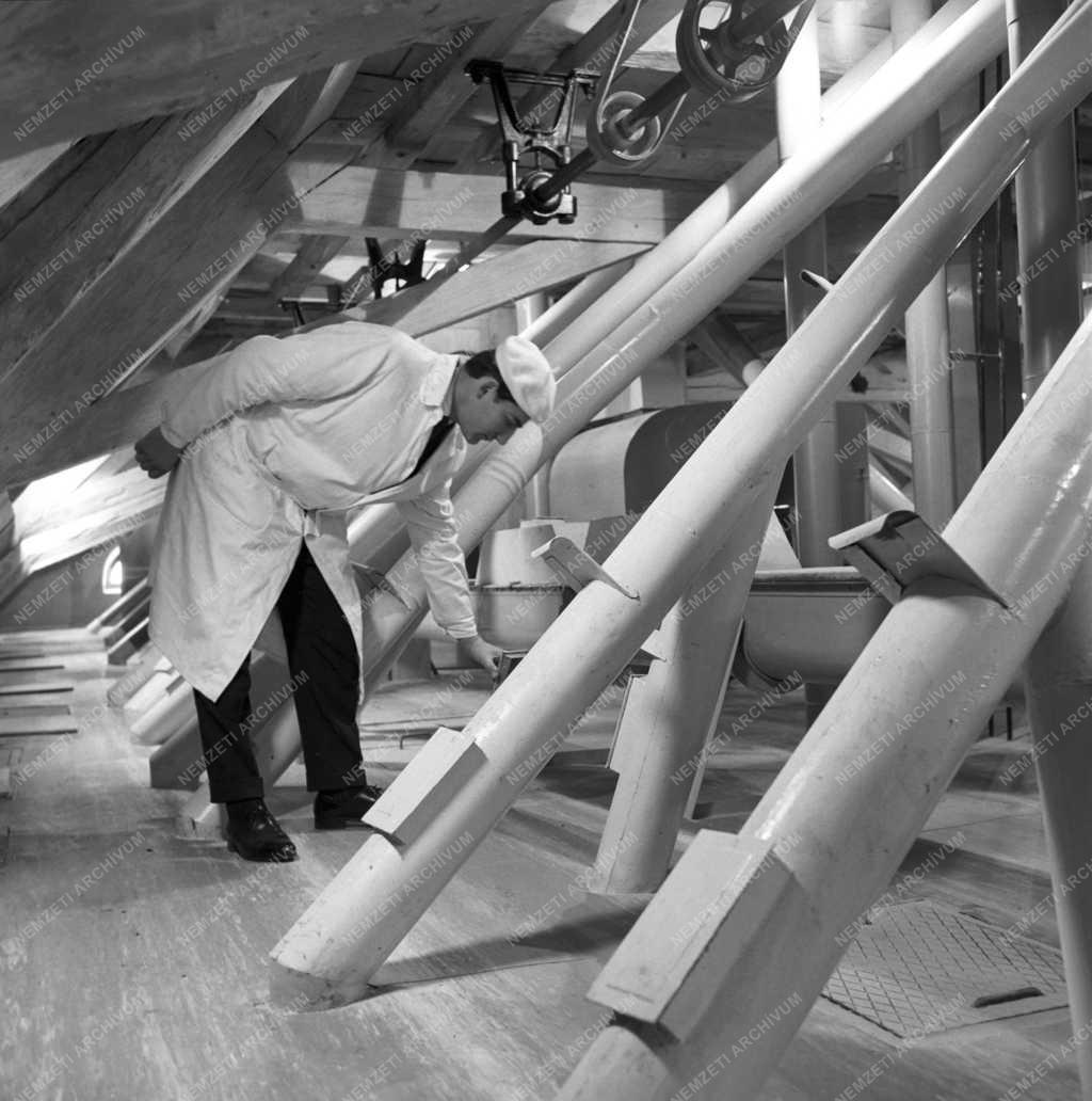 Ipar - A 100. takarmánykeverő üzem