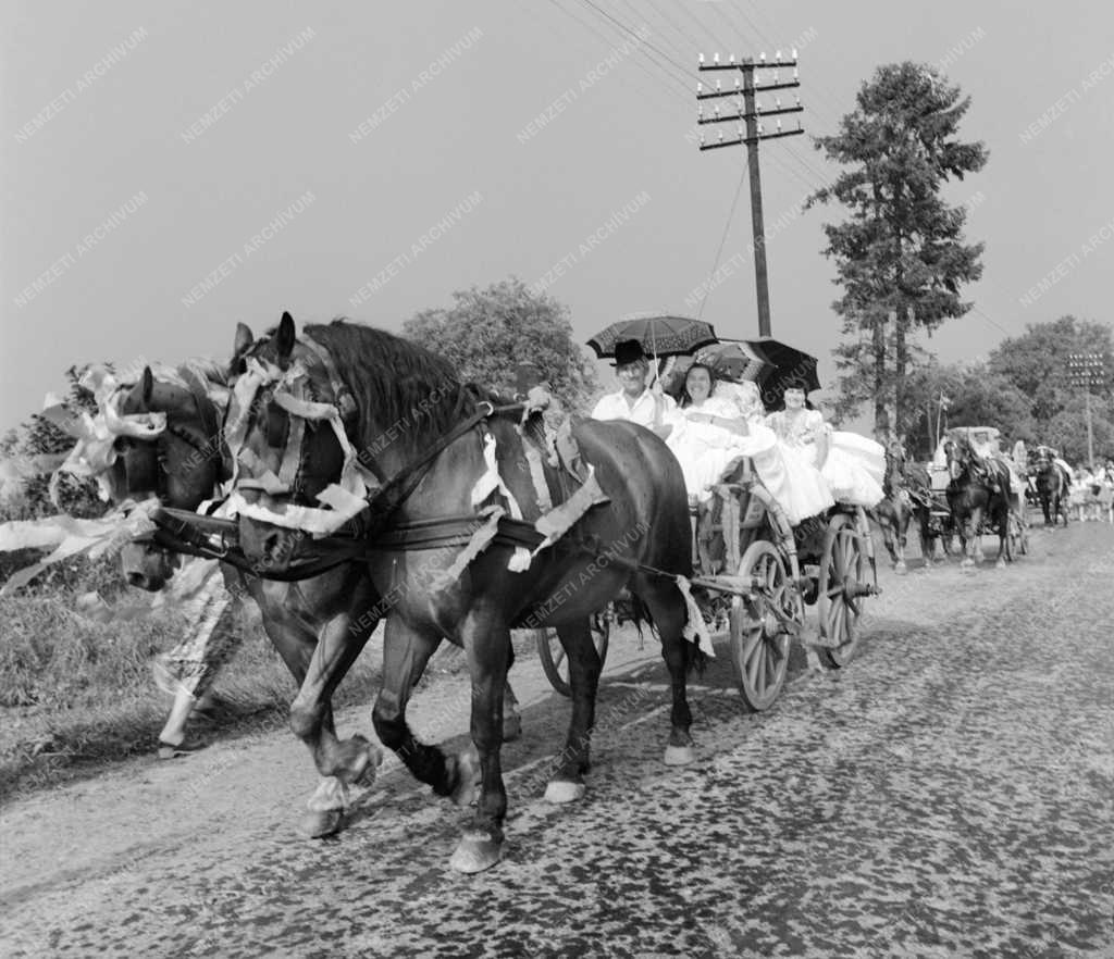 Folklór - Sárközi lakodalmas