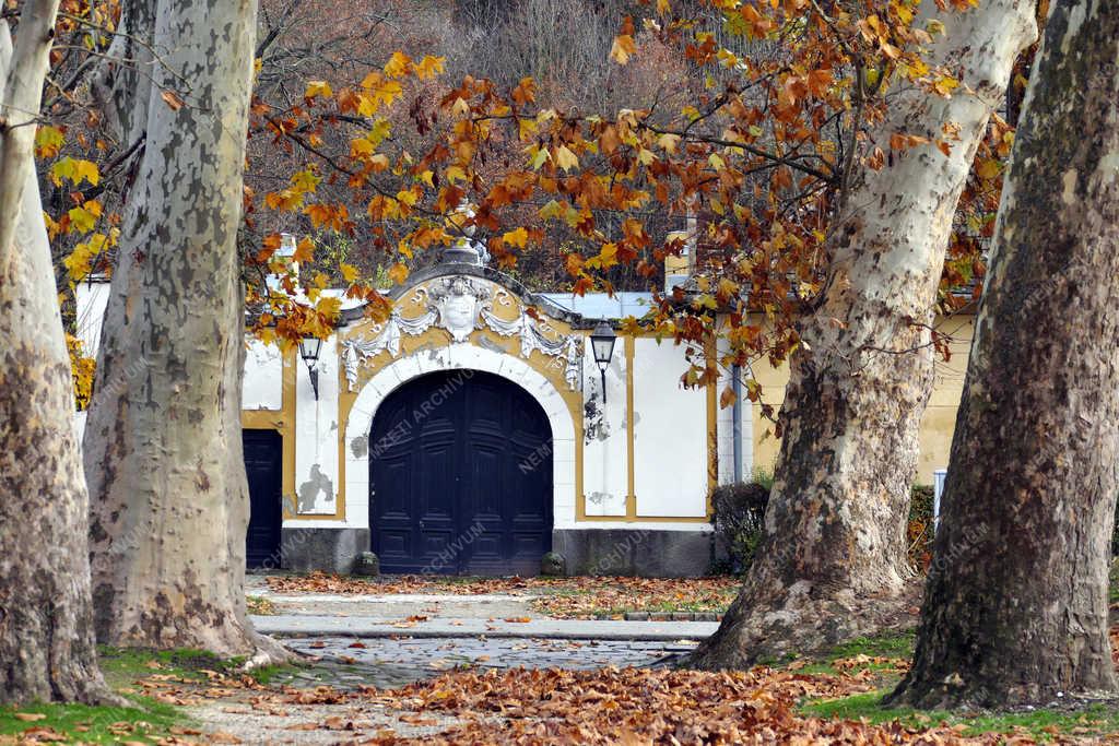 Városkép - Visegrád - Öreg platánok egy régi épület előtt