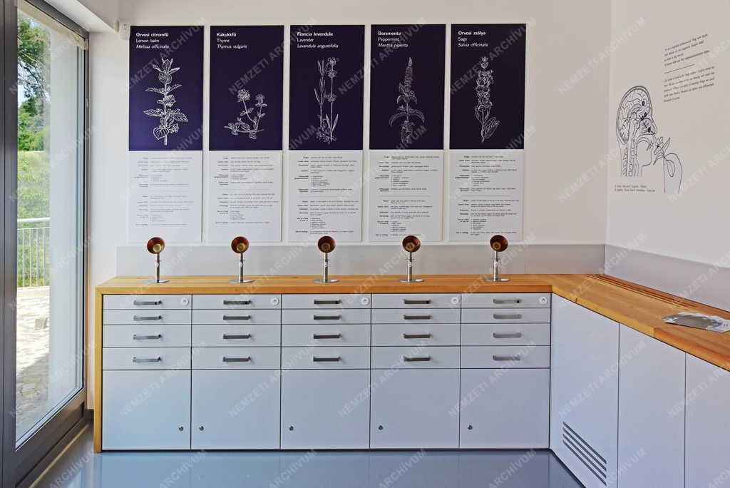 Természetvédelem - Egyház - Pannonhalmi Főapátsági Arborétum és Gyógynövénykert