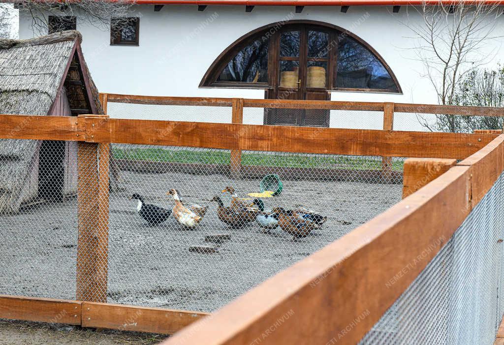 Idegenforgalom - Hortobágy - Állatpark-felújítás