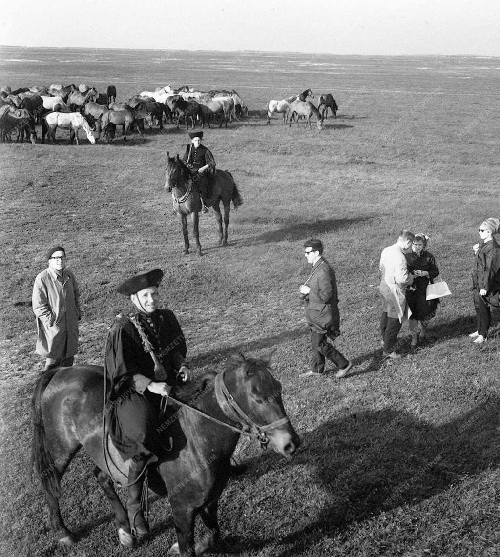 A szerző válogatása - Nyári idegenforgalom a Hortobágyon