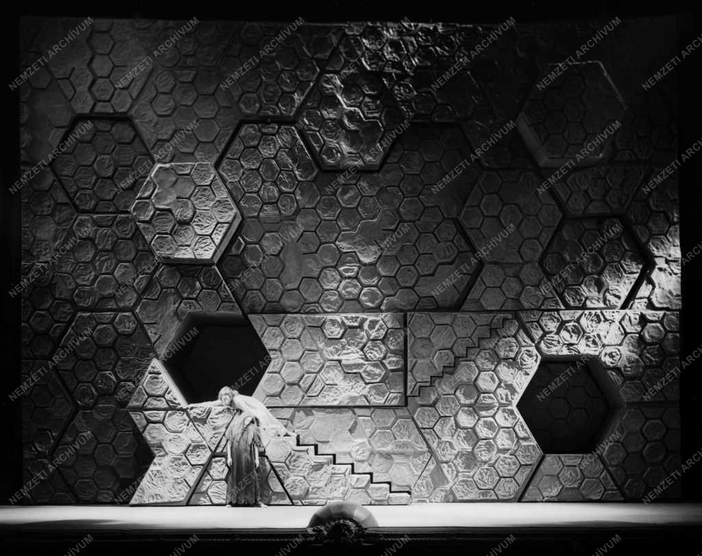 Kultúra - Opera - Richard Strauss: Elektra