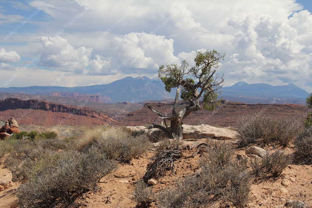 Tájkép - A Bryce Canyon Nemzeti Park látképe