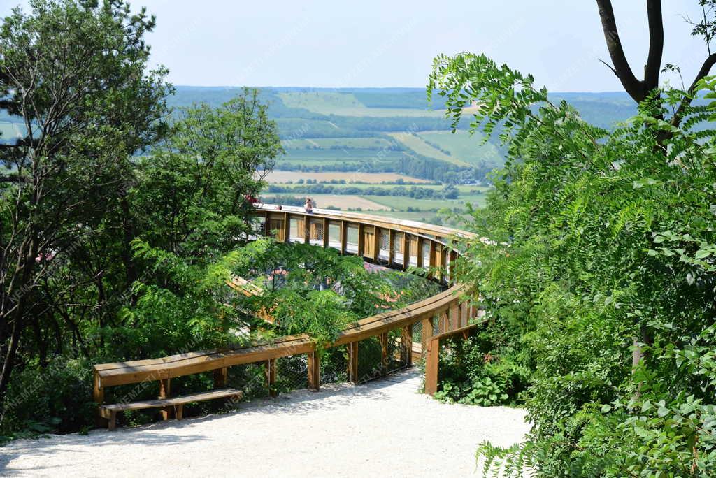 Városkép - Pannonhalma - Lombkorona tanösvény