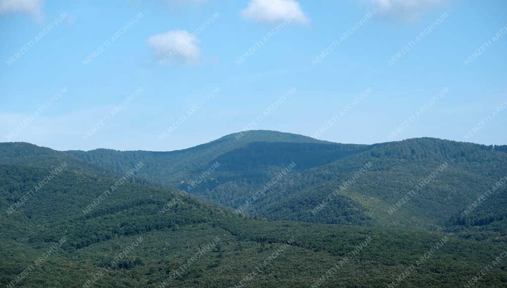 Természetjárás - Szokolya - Kilátó a Várhegyen