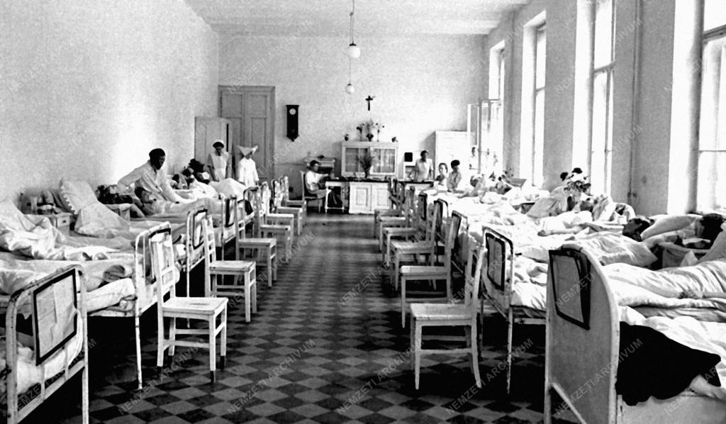 Egészségügy - A Haynal-klinika újjáépítése