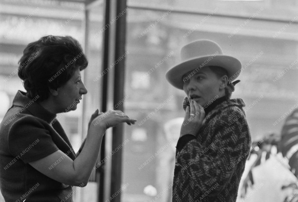 Személy - Törőcsik Mari